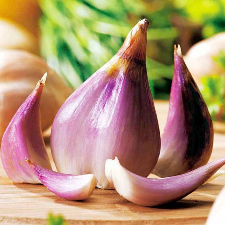 Growing Shallots How to Plant Shallots in Fall